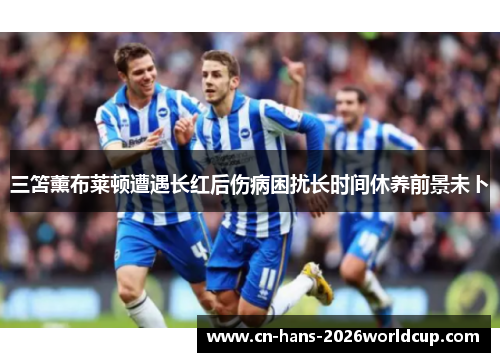 三笘薰布莱顿遭遇长红后伤病困扰长时间休养前景未卜