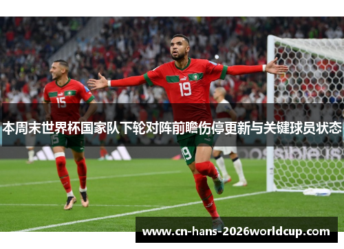本周末世界杯国家队下轮对阵前瞻伤停更新与关键球员状态